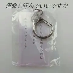 M*a様 SHISHAMO さよならボヤージュ!!!川崎公演 キーホルダー SHISHAMO ファイナルツアー2026「さよならボヤージュ