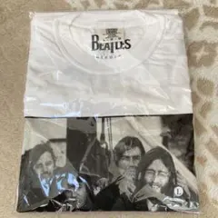 Item thumbnail for item 4b71a8a9-faa6-47e1-90ca-5274561c2250