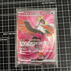2026年最新】Pokemon Card Game シリーズ：スカーレット&バイオレット