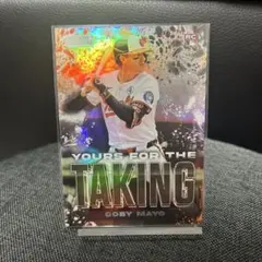 Item thumbnail for item 1c652bf8-c4d4-42d1-be05-71a45aece20d