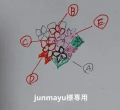 junmayu様専用