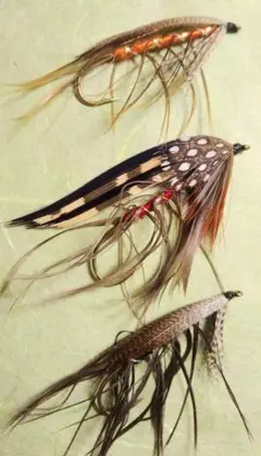 Item thumbnail for item 68cee539-f968-4188-89eb-c4350bef4d46