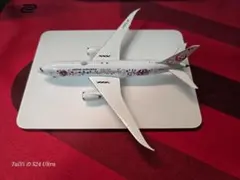 g*ん様 ANA モデルプレーン 模型 JA784A イーブイジェット - メルカリ