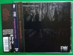 REMNANT：Fragments of the dark♪ CD