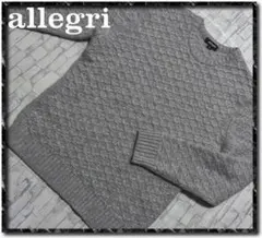 アレグリ　カシミヤ100%ニット　グレー