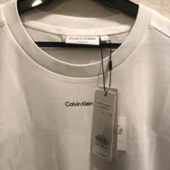 Item thumbnail for item 16b65106-6463-45fc-9a9a-77b1daad80ec