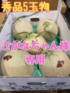 宝様専用】夕張メロン共撰品秀品4玉 1玉約2kg冷蔵 - メルカリ