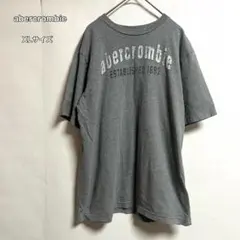 abercrombie アバクロ Tシャツ グレー ロゴ XL 古着らしい風合い