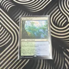 MTG 繁殖池/Breeding Pool EOE ボーダーレス 日本語版 - メルカリ