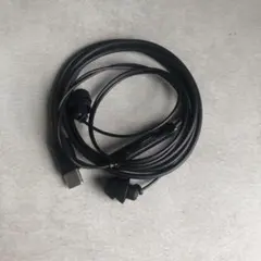 type-c　イヤホン有線　音量調整 　マイク付き　ブラック