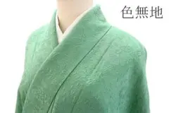 美品 色無地 縮緬地 地紋起こし 薄緑 枝花 身丈169cm トールサイズ 袷