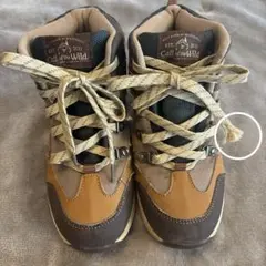 Item thumbnail for item 06d0d652-9d00-4a1e-9804-88afdd9faba0