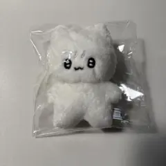 2025年最新】ロンジュン ぬいぐるみ nctの人気アイテム - メルカリ