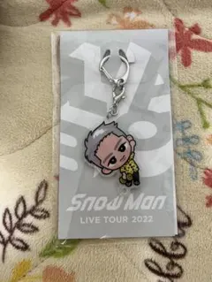 Snow Man LIVE TOUR 2022すのチルぶら下がりシリーズ 岩本照