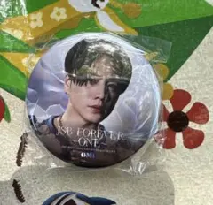 三代目　JSB FOREVER 〜ONE〜　ガチャ　登坂広臣　缶バッジ2種