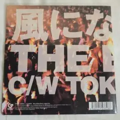 2026年最新】風になりたい the boomの人気アイテム - メルカリ