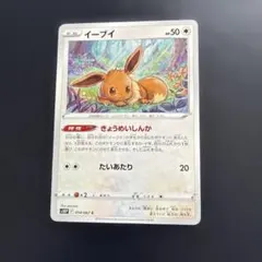 2026年最新】ポケモンカード イーブイ HP50の人気アイテム - メルカリ