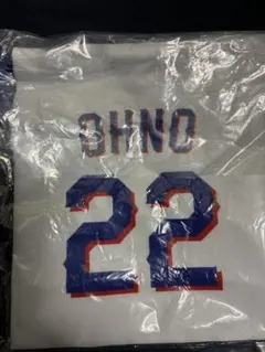 3/13～ 中日ドラゴンズ 大野雄大 きんちゃく ドラゴンズガチャ