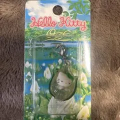 【激レア】 尾瀬 ご当地キティ ファスナーマスコット