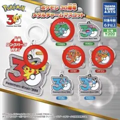 ポケモン　メタルチャーム　30周年