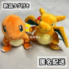 ポケモン fit ぬいぐるみ ヒトカゲ リザードン