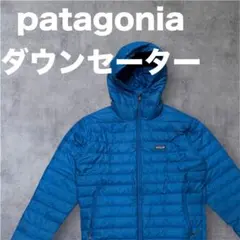 12AW patagonia パタゴニア ダウンセーター ライトダウンのサムネイル