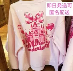 ディズニーランド　ミニーのファンダーランド　トレーナー　ミニパル　パルパルーザ