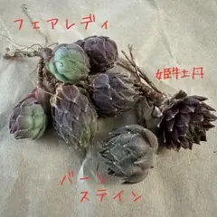 Rumi様 リクエスト 2点 まとめ商品