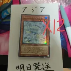 遊戯王TCG マルチャミー・プルリア EUENプリシク1st - メルカリ