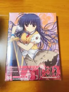 非売品】【レア】機動戦艦ナデシコ ホシノ・ルリ 交通安全ポスター