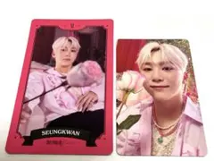 SEVENTEEN スングァン シーグリ トレカ フォーチュンカード