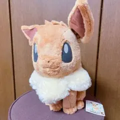 イーブイ　大きいぬいぐるみ