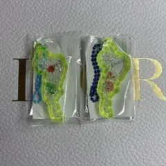 琵琶湖キーホルダー 2個セット