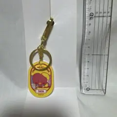 BT21 アクリルキーホルダー TATA BTS V テテ