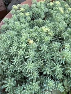 2025年最新】梱包材 の人気アイテム - メルカリ