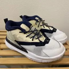 ジョーダン　ザイオン1 キッズ　16 バッシュ