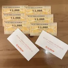 ビックカメラ 6000円分 株主優待券 ¥1,000×6