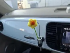 2026年最新】フラワービートルの人気アイテム - メルカリ