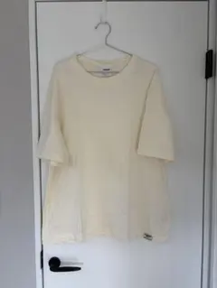 pizza slice × Reebok Tシャツのサムネイル