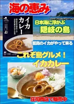 貴方は隠岐を食べます！海の恵みを食す！隠岐の島　島グルメ！イカカレー２個！のサムネイル