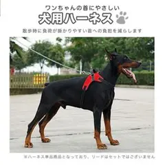 ドッグハーネス ペット用品 散歩 お出かけ サイズ調節可能 着脱簡単 通気性抜群
