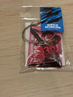 汐見琴音 ペルソナ3ポータブル 30周年 主人公 キーホルダー KV缶バッジ