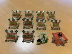 福岡ソフトバンクホークス ピンバッジ 11種セットのサムネイル