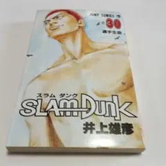SLAM DUNK 30