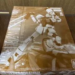 MG RMS-179 GM II SEMI STRIKER ガンプラ