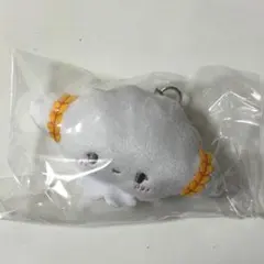 サンリオ ミニミニchibiぬいぐるみマスコット こぎみゅん