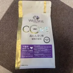 Item thumbnail for item 0bdeac40-0691-4561-8854-9bdca577b555