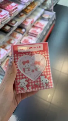 Lil ala mode × サンリオ 当りくじ カード収納ファイル