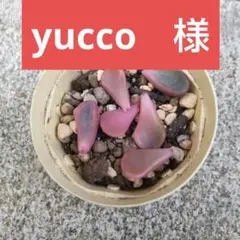 yucco　様専用ページ