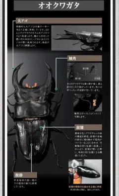 いきもの大図鑑アドバンス